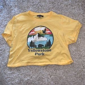 vintage Yellowstone park cropped tee